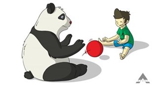 Panda - Step: 11