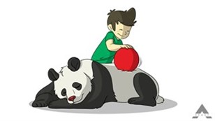 Panda - Step: 12