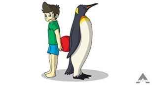 Pingvin - Step: 1