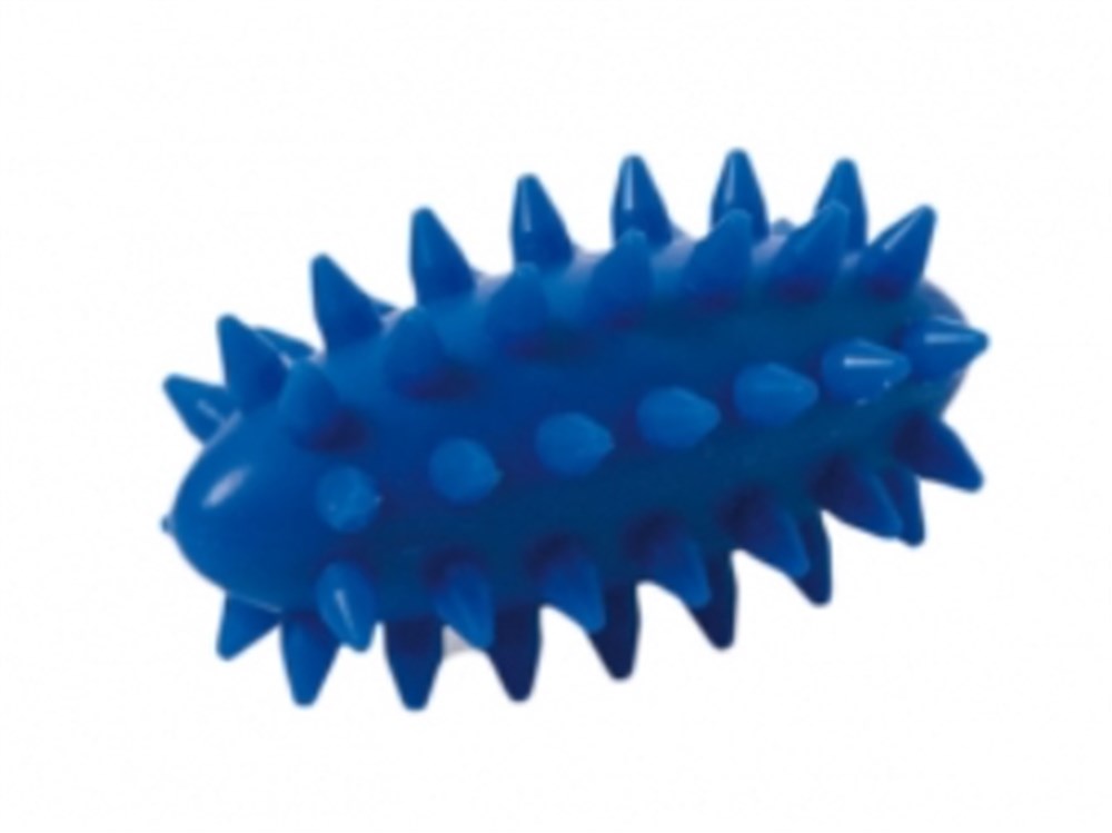 Oval massagebold