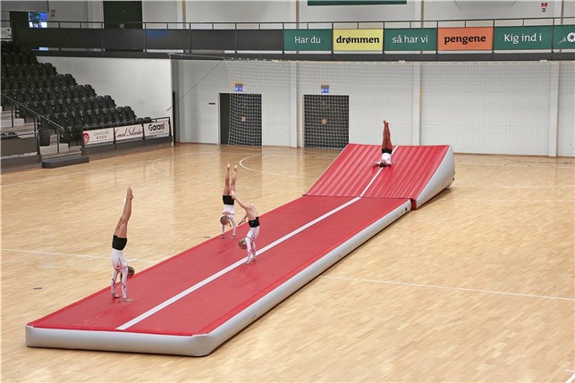 Airtrack Pro 15x2,8x0,3m.