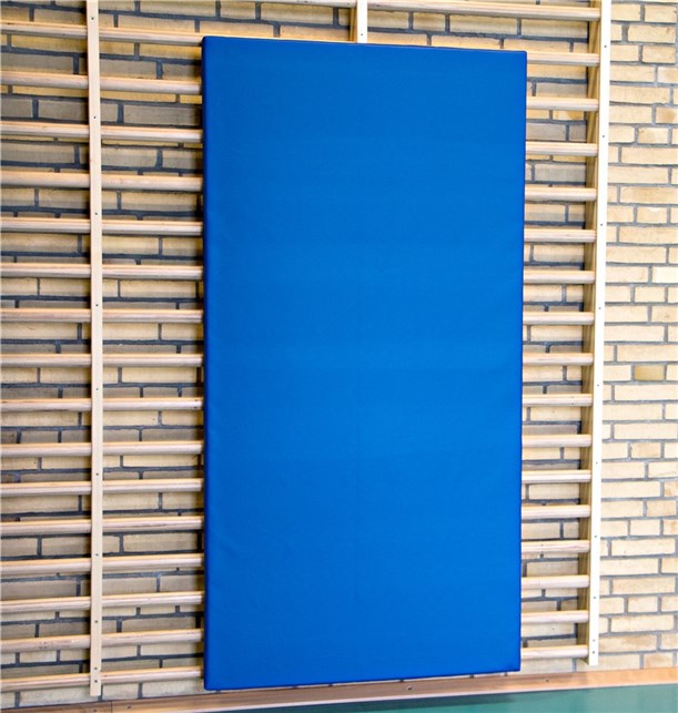 Beskyttelse til ribbevæg 200x100x6 cm