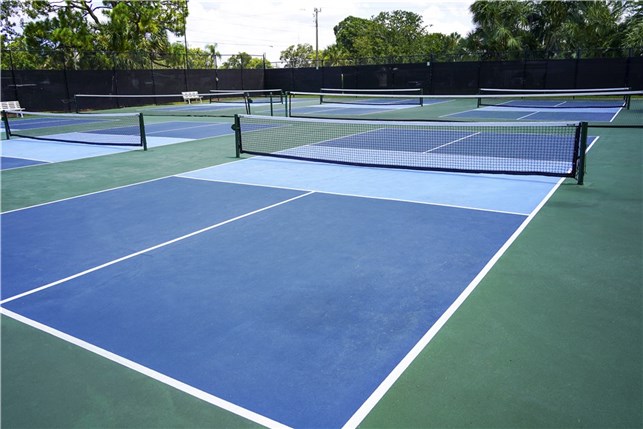 Pickleball bane Hardcourt