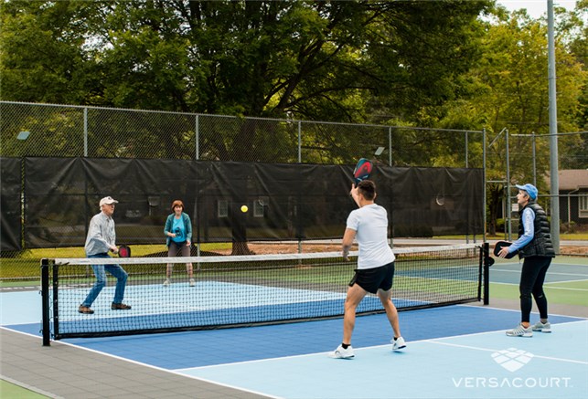 Pickleball bane Versa court