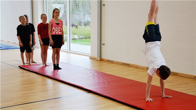 Rullemåtte, letvægt, 8 m