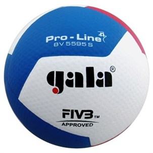 Gala Volleyball kampbold 