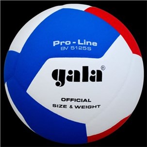 Gala volleyball Træning/kampbold