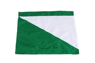 Hjørneflag Grøn/hvid - diagonal farveskift