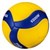Mikasa Volleyball V200W