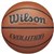 Wilson basketball Evolution Str. 6