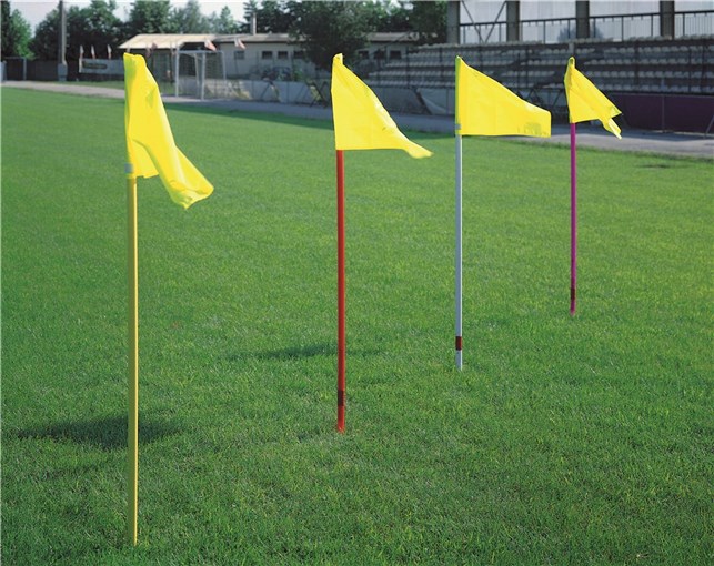 Hjørneflag Gul