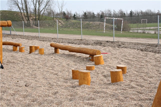 Robinia balancepæl