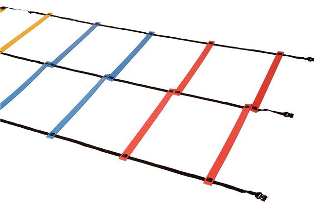 Agility stige dobbelt 9m.