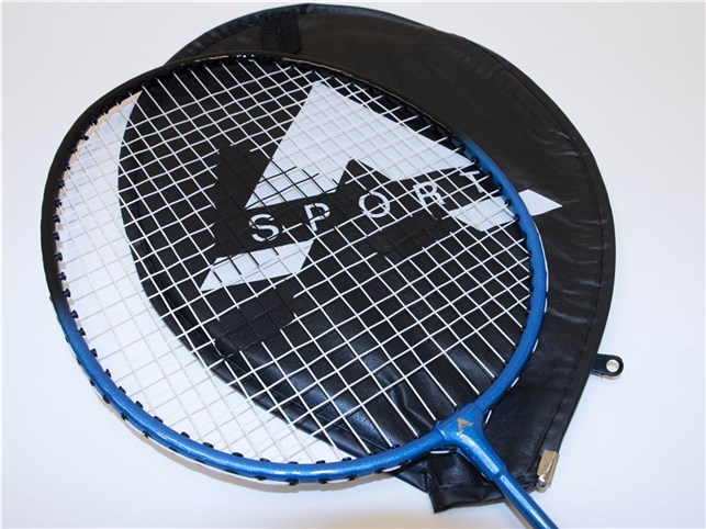 Badmintonketcher skole