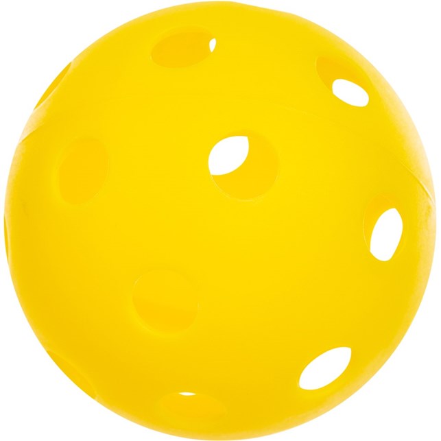 Forza pickleball klasse sæt pro incl. net