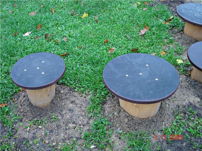 Balancetrin Ø30 cm