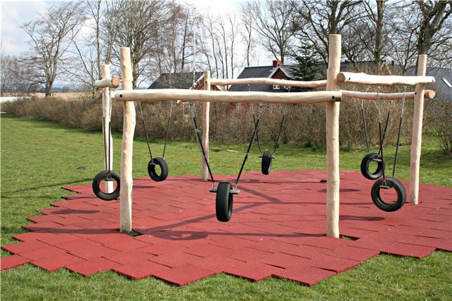 Robinia swingking