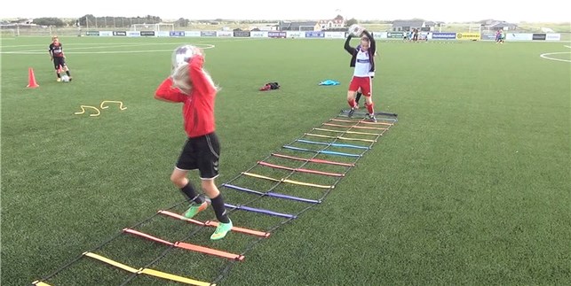Agility stige dobbelt 4m.