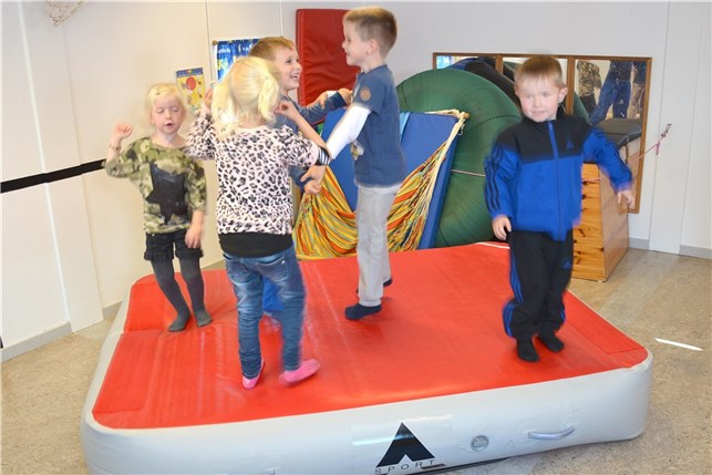 Bevægelsesmåtte incl. pumpe