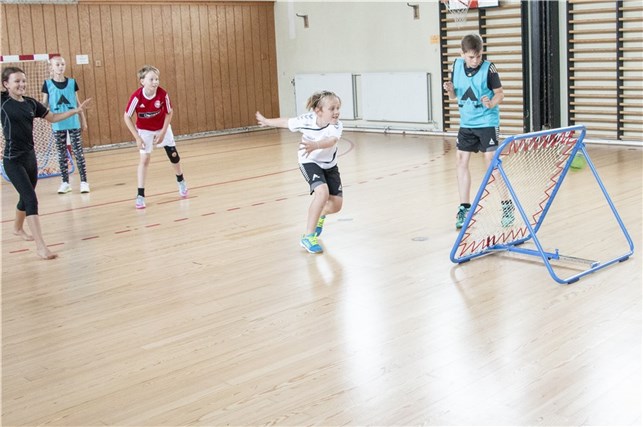 Tchoukball/ Rebounder