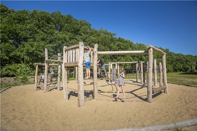 Robinia galge med balancetov