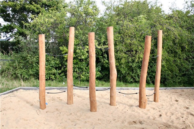 Robinia labyrint