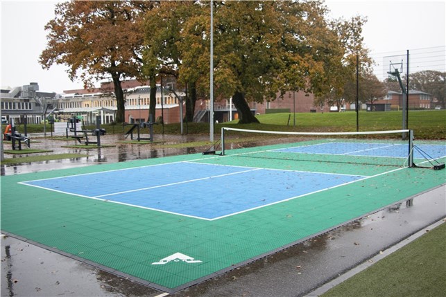 Pickleball bane Versa court