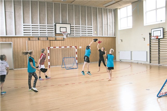 Tchoukball skole sæt