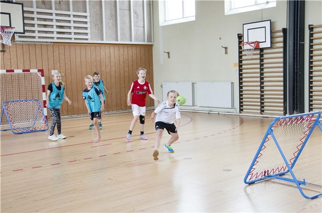 Tchoukball/ Rebounder