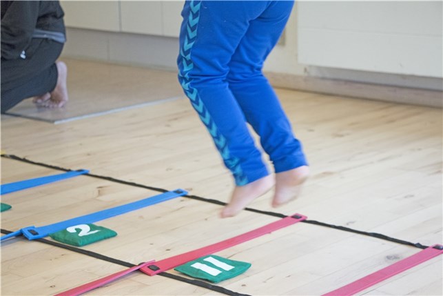 Agility stige dobbelt 4m.