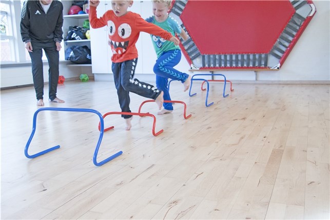 Hække mini PVC RØD