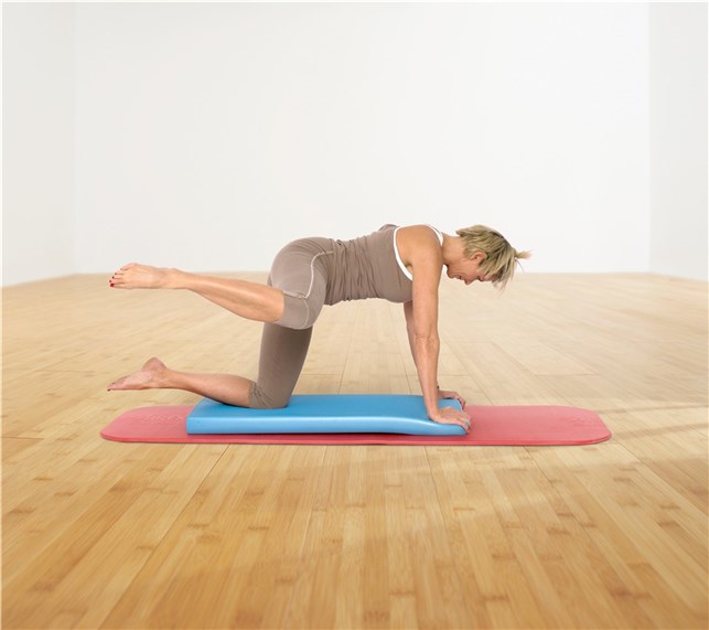 Airex balancepude  XL Blå
