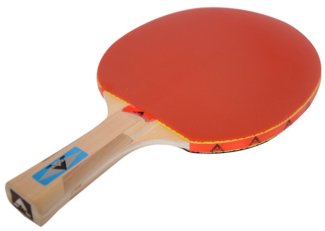 Bordtennisbat - Skole