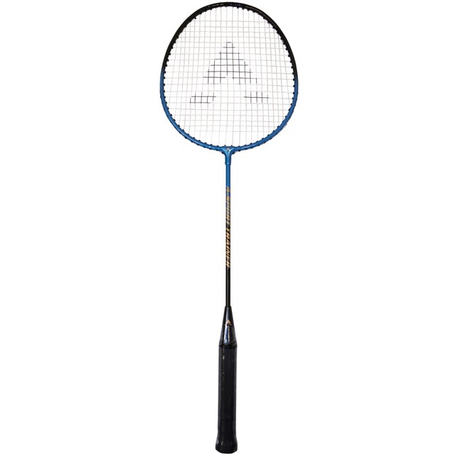 Badmintonketcher skole