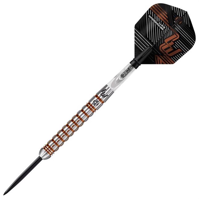 Dart pil pro Luke Woodhouse