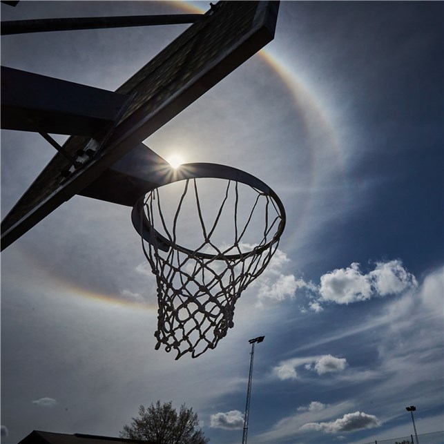 Basketball plade - 120x90 cm