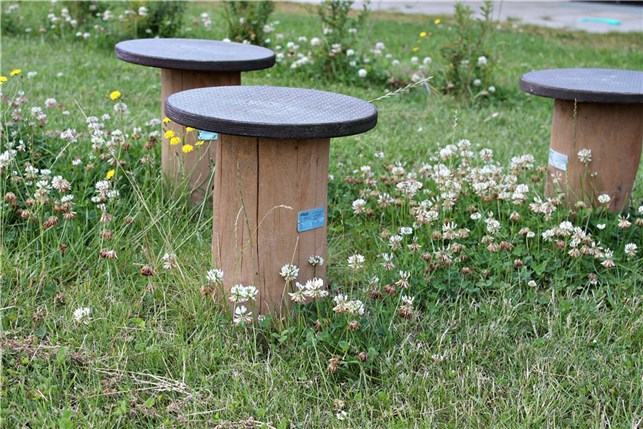 Balancetrin Ø40 cm