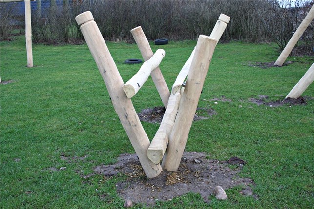 Robinia gangbro