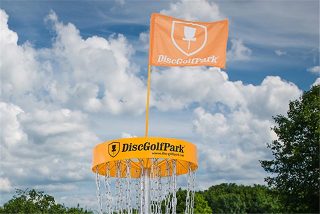 Frisbee golf disc golf pro