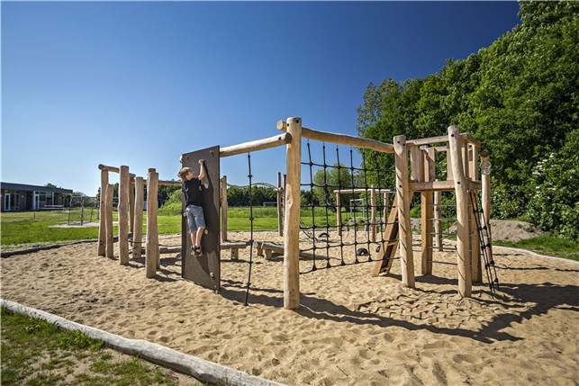 Robinia galge med klatrenet