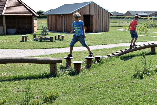 Balancetrin Ø40 cm