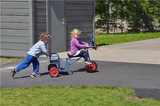 Cykel taxa Milas
