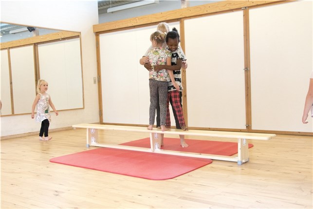 Gymnastikbænk 300 cm