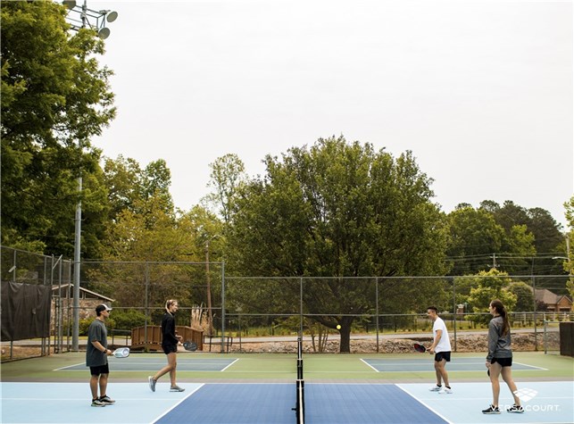 Pickleball bane Versa court