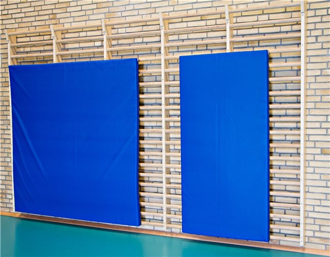 Beskyttelse til ribbevæg 200x100x6 cm