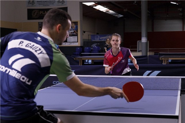 Bordtennisbord 740 indoor