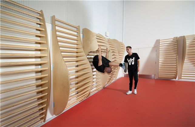 Organsik ribbe - model 2