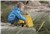 Dumper gigant Dantoy 