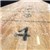Shuffleboard 12 Fod