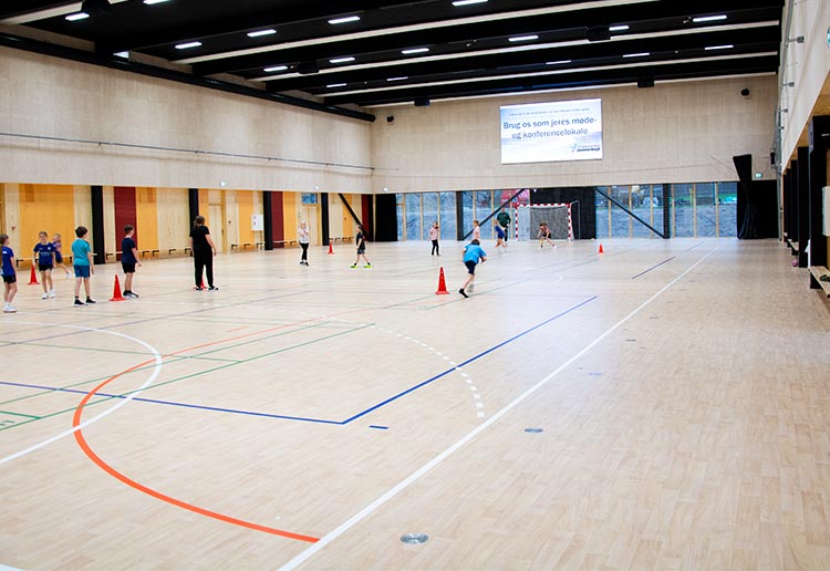 Børn spiller rundbold i idrætshal
